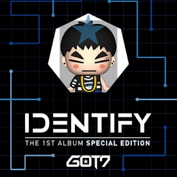 GOT7 - IDENTIFY: USB ALBUM [JB]