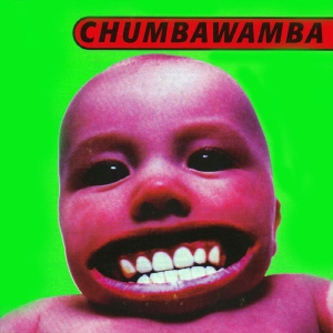 CHUMBAWAMBA - TUBTHUMPER