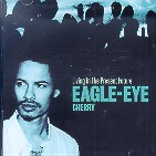 EAGLE-EYE CHERRY - LIVING IN THE PRESENT FUTURE
