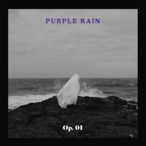 PURPLE RAIN - 작품번호 1번(OP.01)