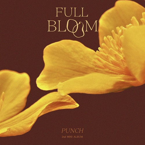 PUNCH - FULL BLOOM (만개)