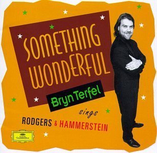 BRYN TERFEL - SOMETHING WONDERFUL
