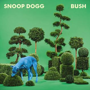 SNOOP DOGG - BUSH [수입]