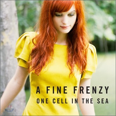 A FINE FRENZY - ONE CELL IN THE SEA