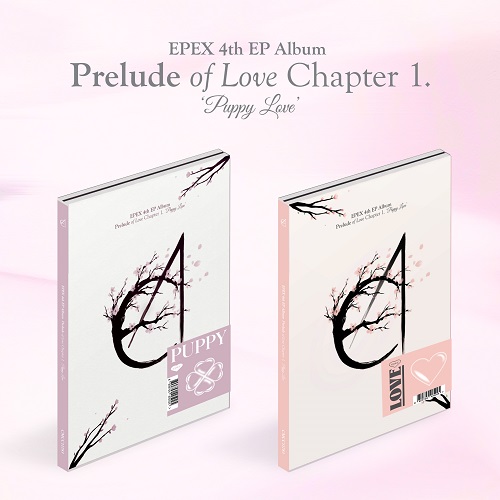 EPEX - 사랑의 서 Chapter 1. Puppy Love [Random Cover]