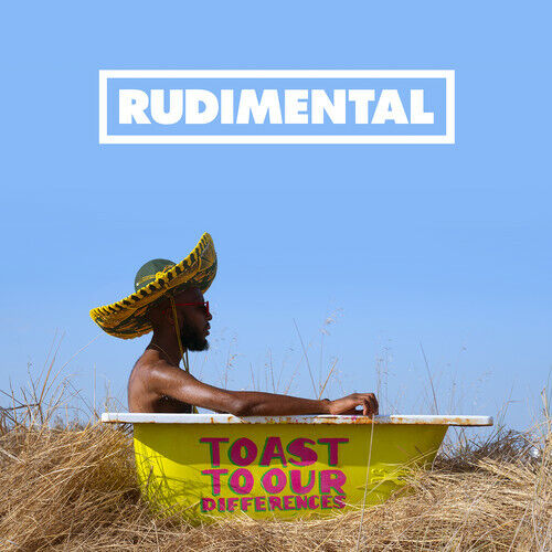 RUDIMENTAL - TOAST TO OUR DIFFERENCES [수입] [LP/VINYL]