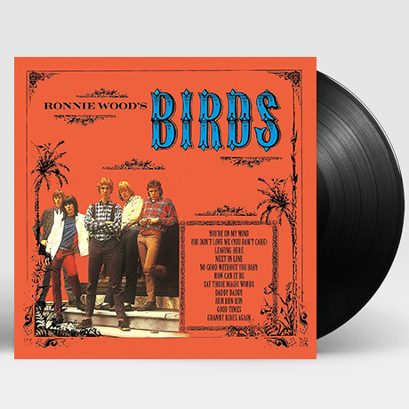 THE BIRDS - BIRDS (RONNIE WOOD'S BIRDS) [수입] [LP/VINYL]