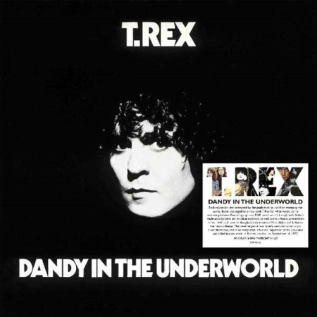 T.REX - DANDY IN THE UNDERWORLD [수입] [LP/VINYL] 
