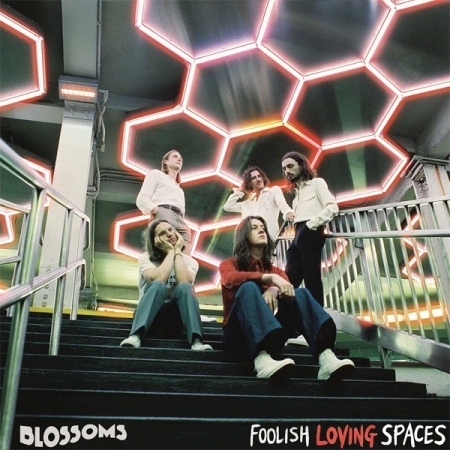 BLOSSOMS - FOOLISH LOVING SPACES [수입] [LP/VINYL] 