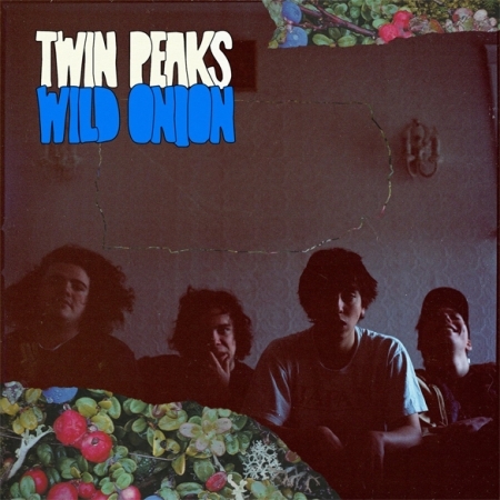 TWIN PEAKS - WILD ONION [수입] [LP/VINYL]