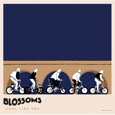 BLOSSOMS - COOL LIKE YOU [LIMITED EDITION] [2LP] [수입] [LP/VINYL]