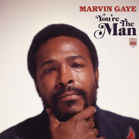 MARVIN GAYE - YOU'RE THE MAN [수입] [LP/VINYL] 