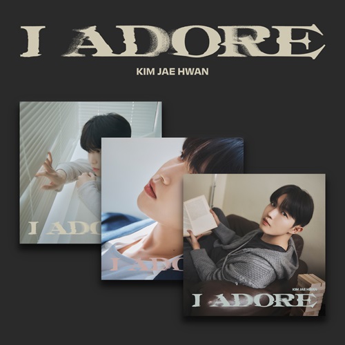 KIM JAE HWAN - I Adore [Random Cover]